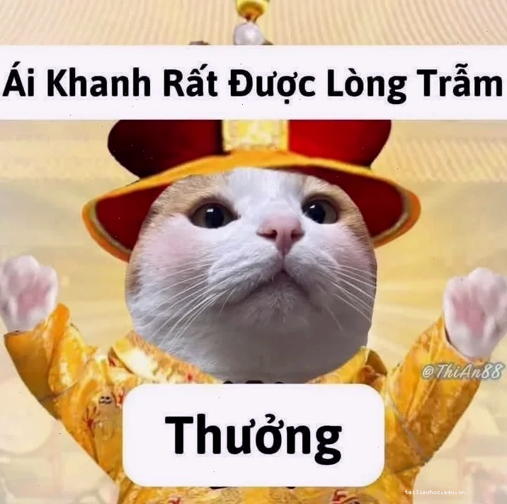 đa tạ meme cổ trang
