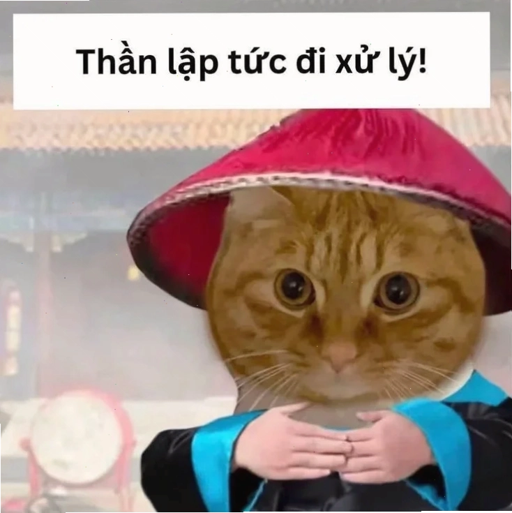 đa tạ meme Đường Tăng