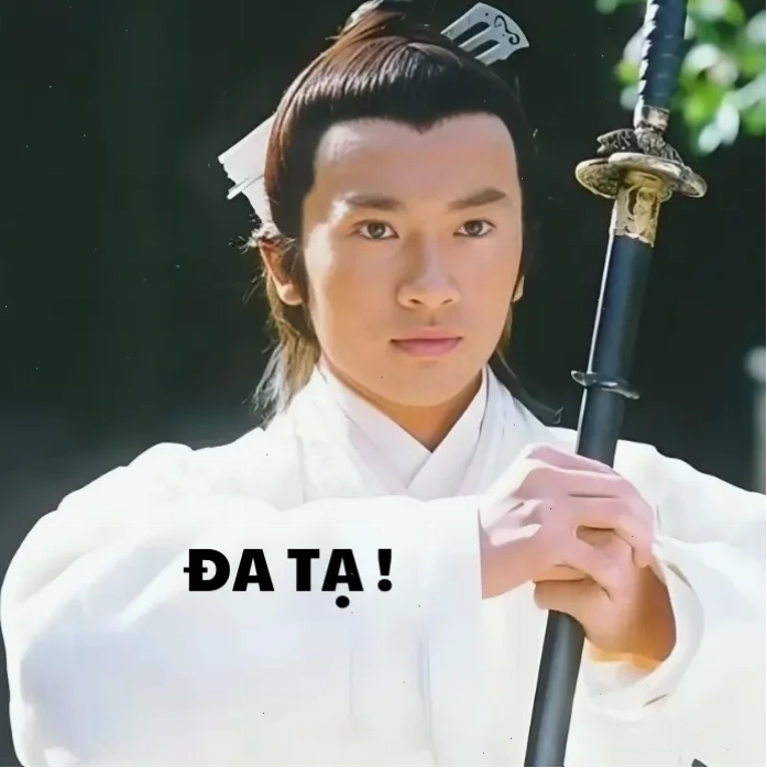 đa tạ meme gấu trúc