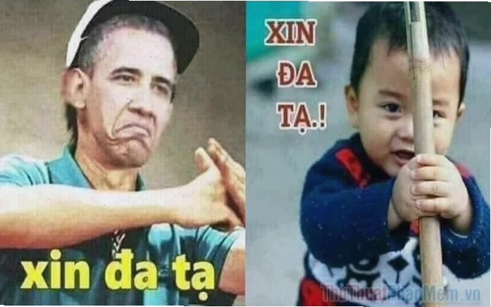 đa tạ meme hài hước