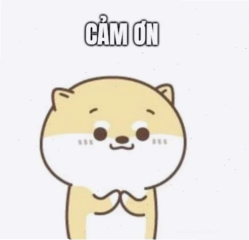 đa tạ meme kết thúc