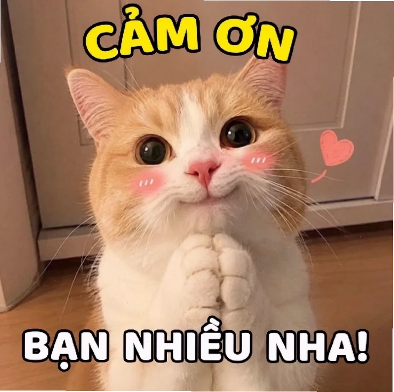 đa tạ meme lố bịch