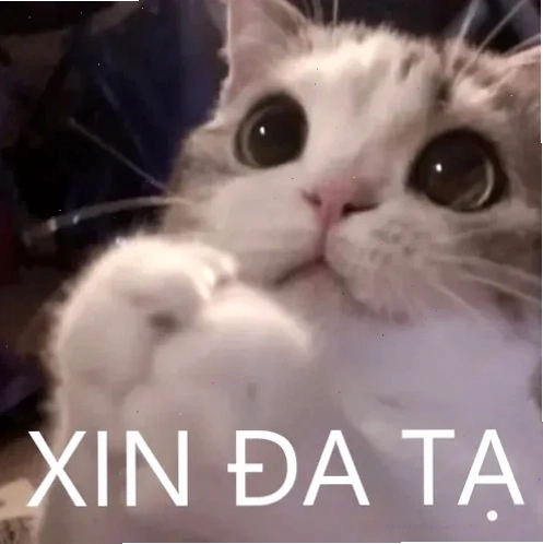 đa tạ meme võ lâm