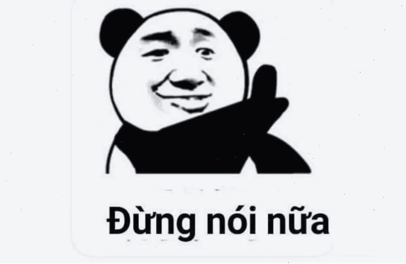 meme video dạng video là sao meme
