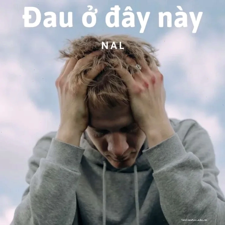 Di sản cảm xúc