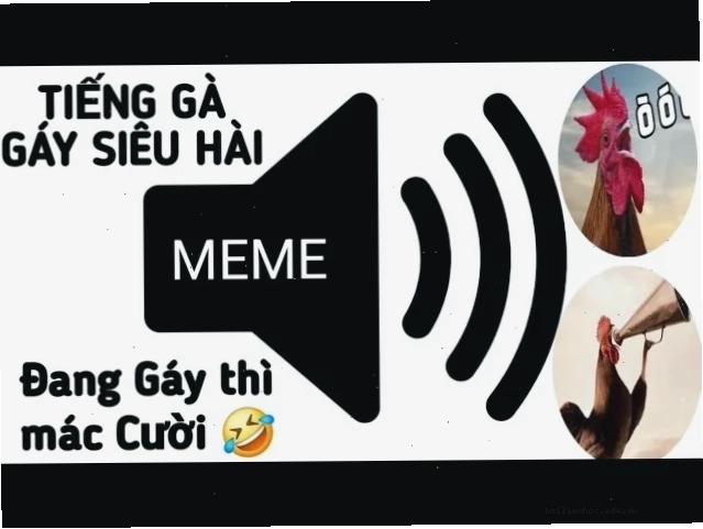 gà gáy meme bận rộn gà gáy meme gà bới đất