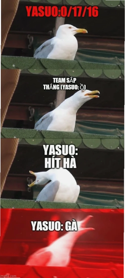 gà gáy meme hoảng sợ gà gáy meme gà hoảng loạn