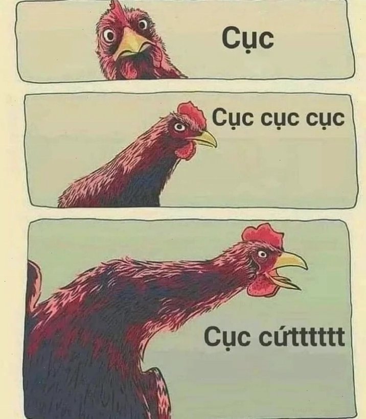 gà gáy meme soái ca gà gáy meme gà trống soái ca
