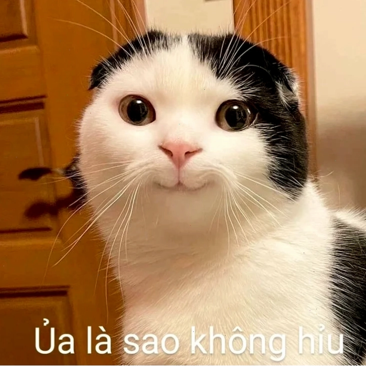 bản chất meme giải thích là sao meme