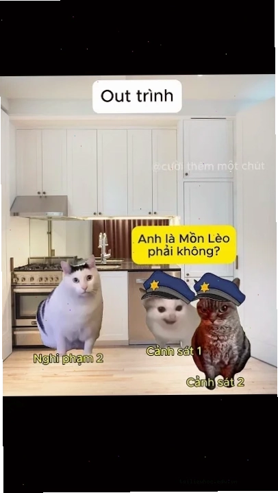 giải thích về out trình meme trong đời sống