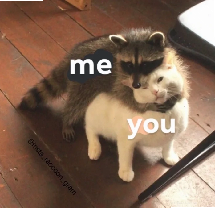Hai chú mèo ôm nhau trong đêm đông