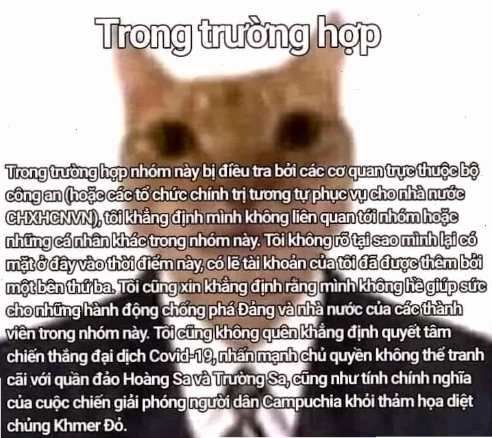 Hệ quả khi sử dụng meme trong trường hợp meme không đúng quy định