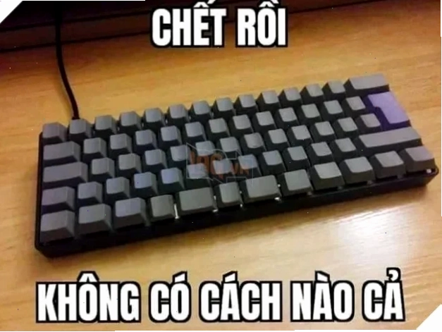 meme sự cố máy tính hết cách rồi meme bàn phím khi máy hỏng