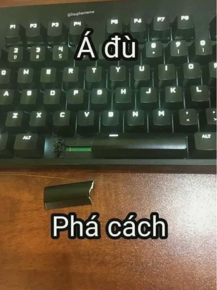 meme dân văn phòng hết cách rồi meme bàn phím trong công việc văn phòng