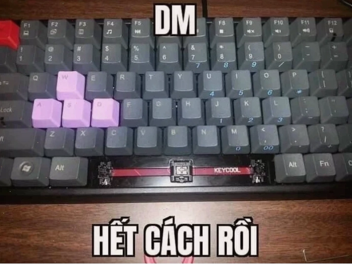 meme bàn phím hài hước hết cách rồi meme bàn phím với tình huống dở khóc dở cười