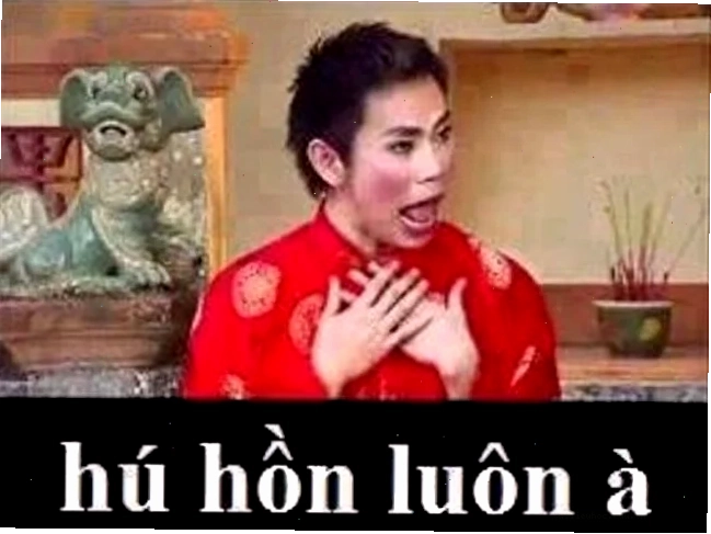 hết hồn meme mèo hết hồn meme của một chú mèo đáng yêu
