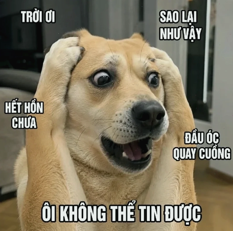hết hồn meme hài hết hồn meme hài