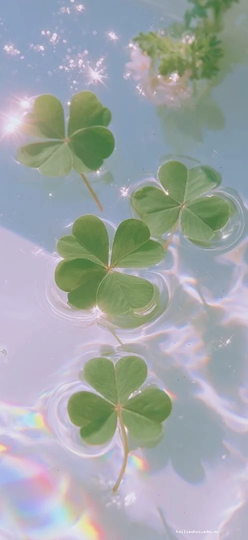 Cỏ tươi mới Hình ảnh cỏ 3 lá tươi