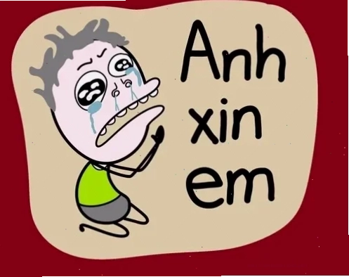 Hình ảnh hài hước của meme mèo xin lỗi đáng yêu