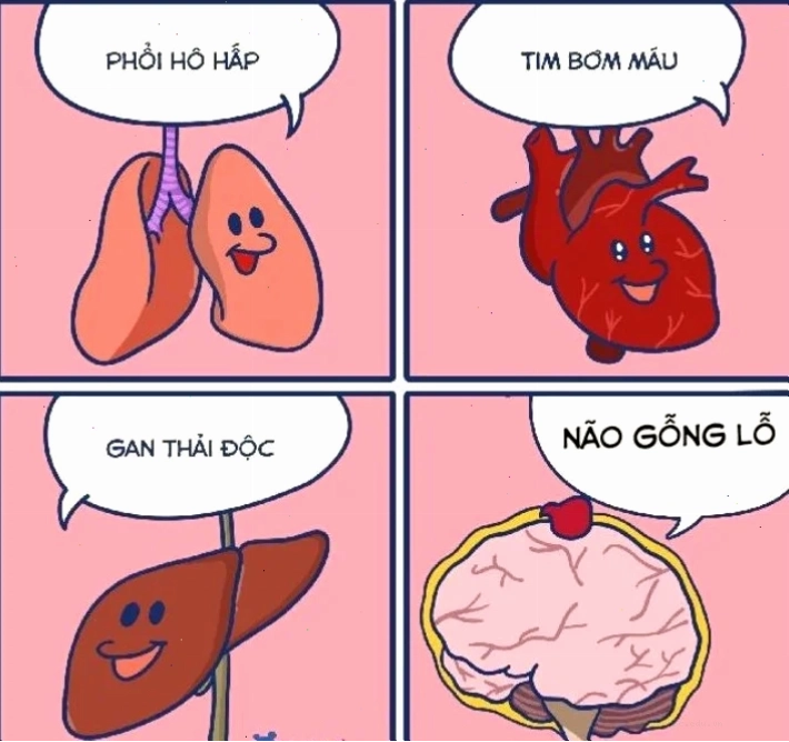 Meme vui Hinh anh meme