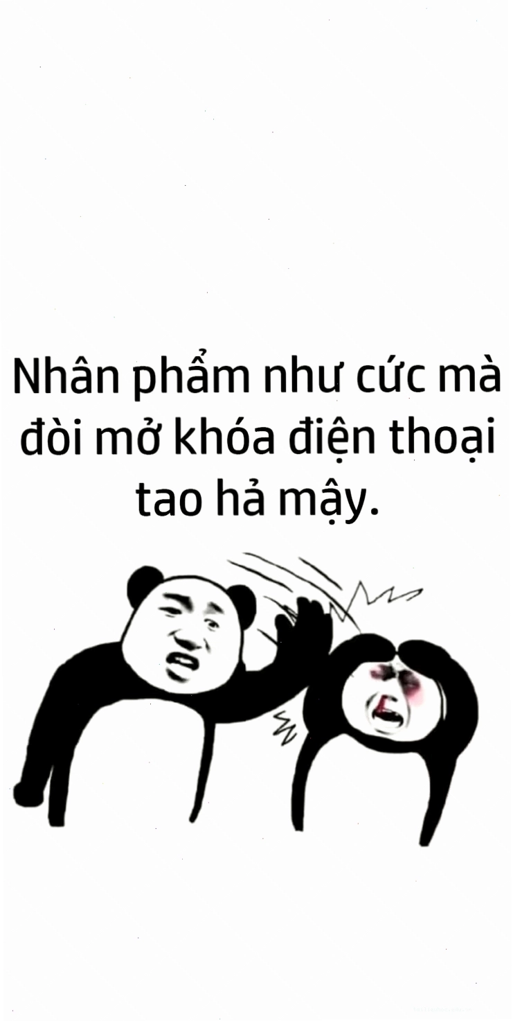 Hình ảnh meme mèo hài hước