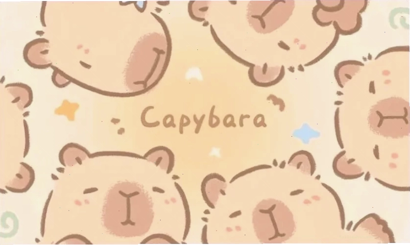 hình nền capybara hình nền capybara cận cảnh gương mặt