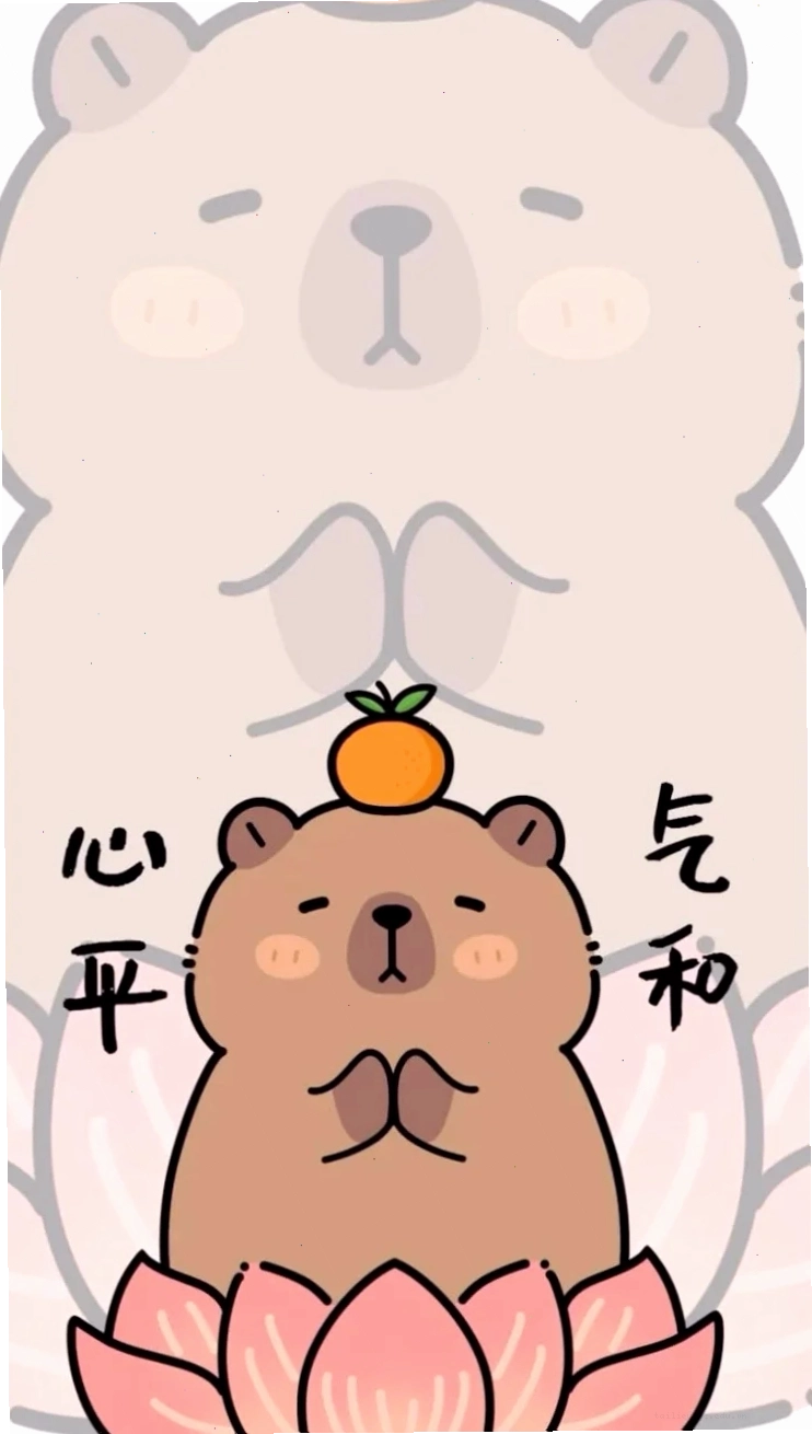 hình nền capybara hình nền capybara chảy nước mũi