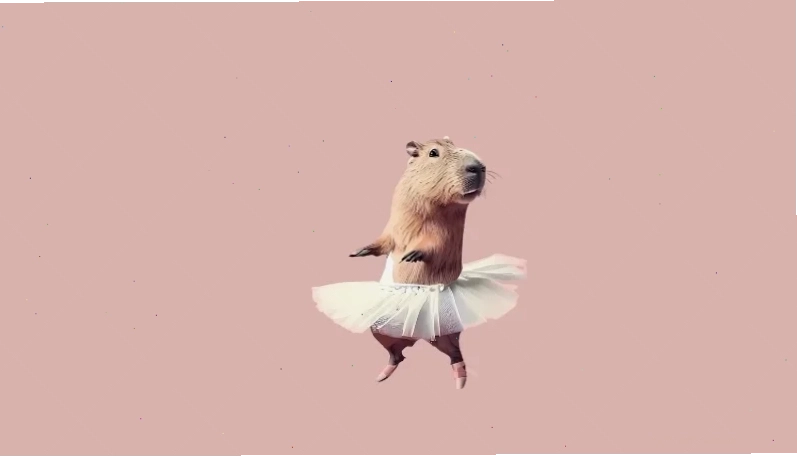 hình nền capybara hình nền capybara cùng các loài thú khác