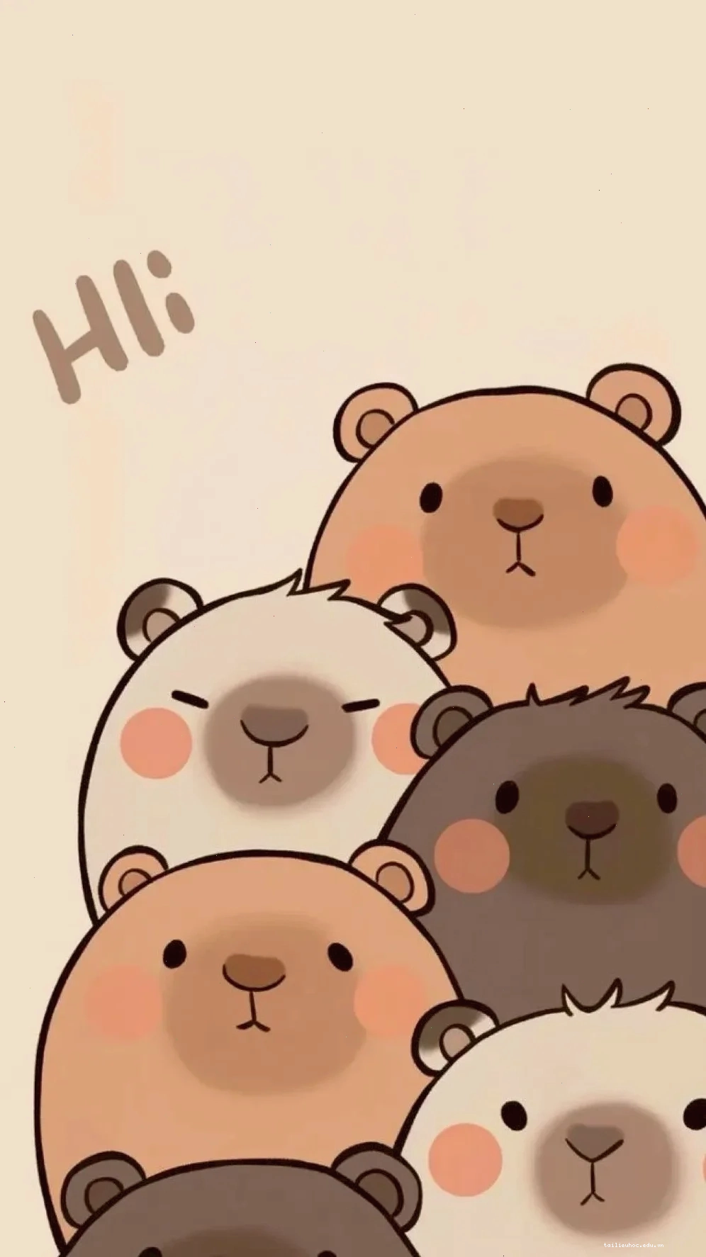 hình nền capybara hình nền capybara meme cùng dòng chữ