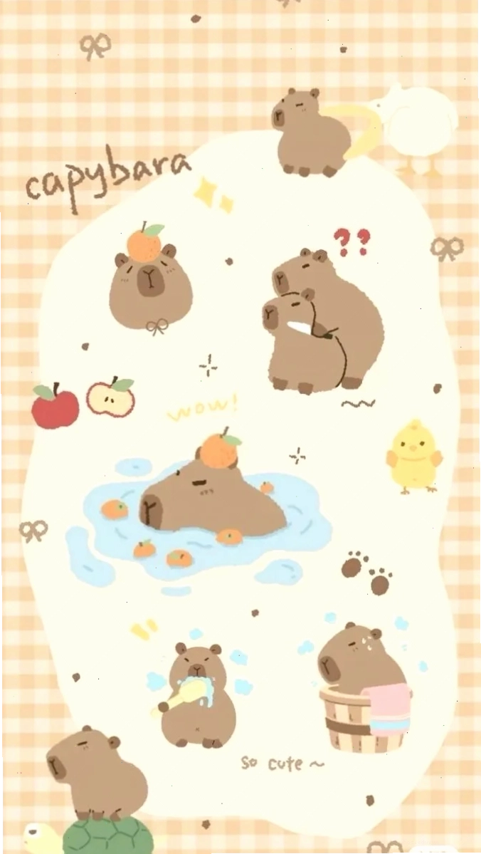 hình nền capybara hình nền capybara meme vô tri
