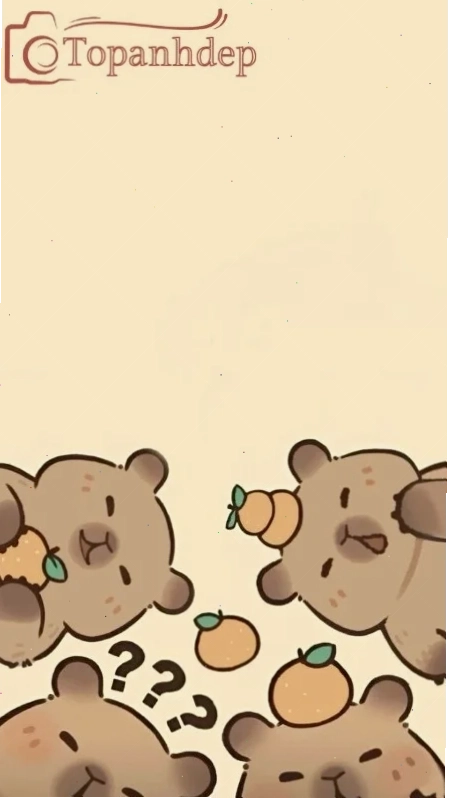 hình nền capybara hình nền capybara tối giản