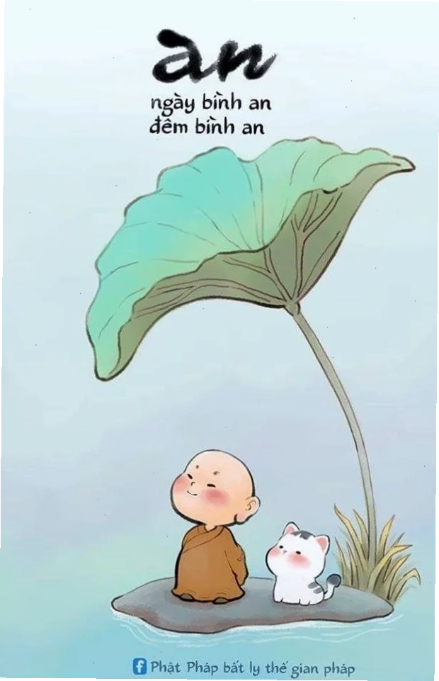 hình nền chú tiểu dễ thương cùng chim