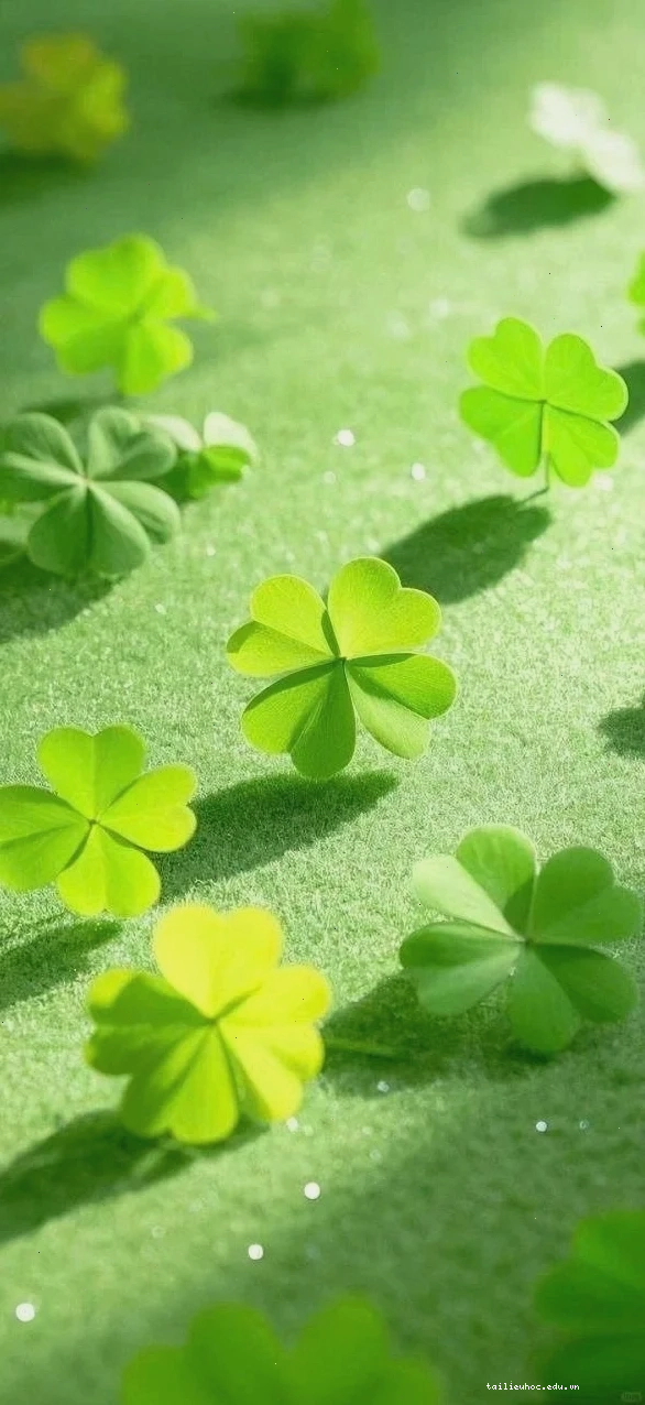 hình nền cỏ 3 lá may mắn avatar đẹp