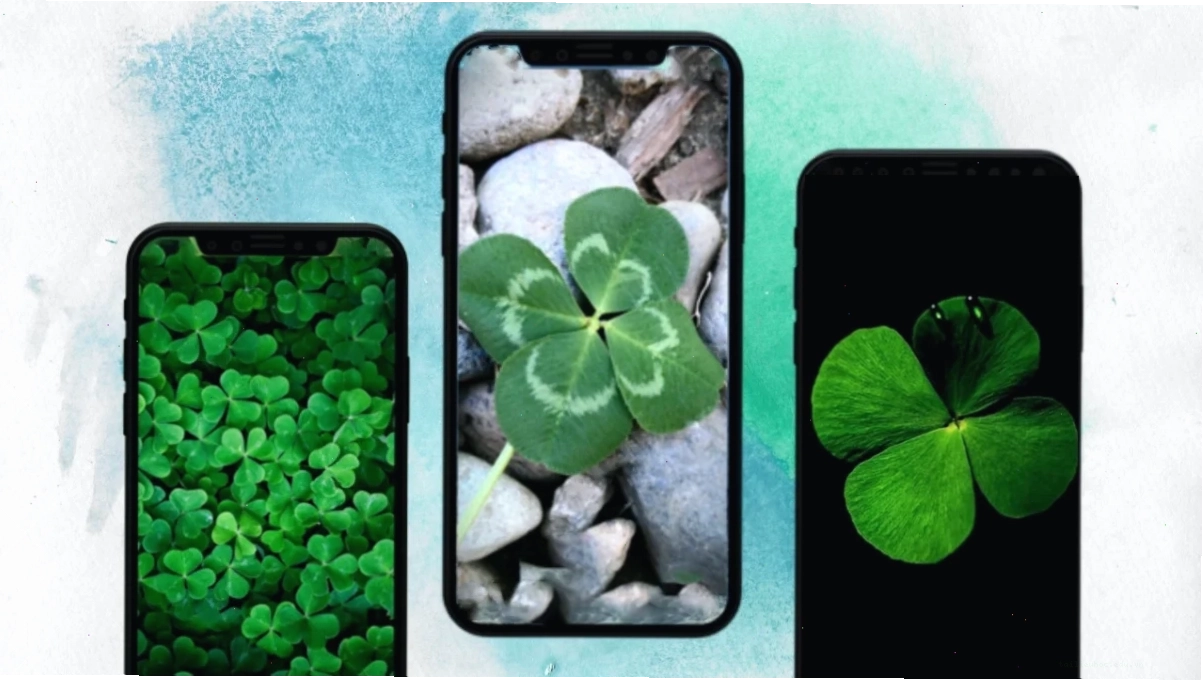 hình nền cỏ 4 la cho điện thoại may mắn