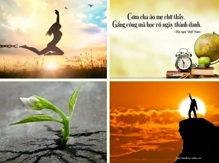 hình nền cố gắng lên thiên nhiên
