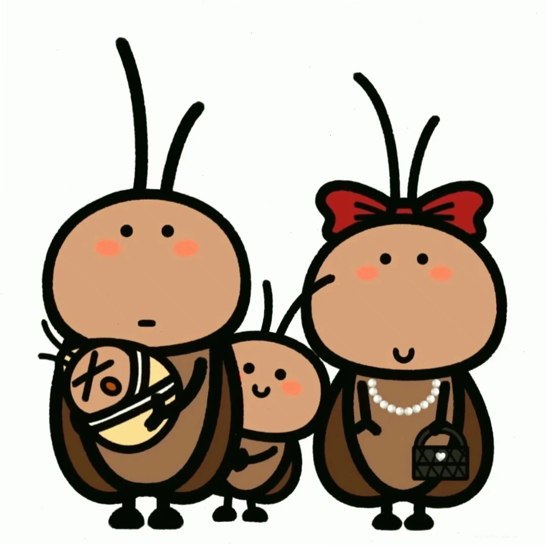 hình nền con gián bên bát ngũ cốc