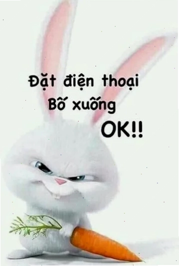 Ảnh nền ca nhạc hình nền điện thoại bá đạo âm nhạc