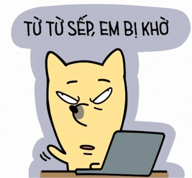 Hình nền động vật hài