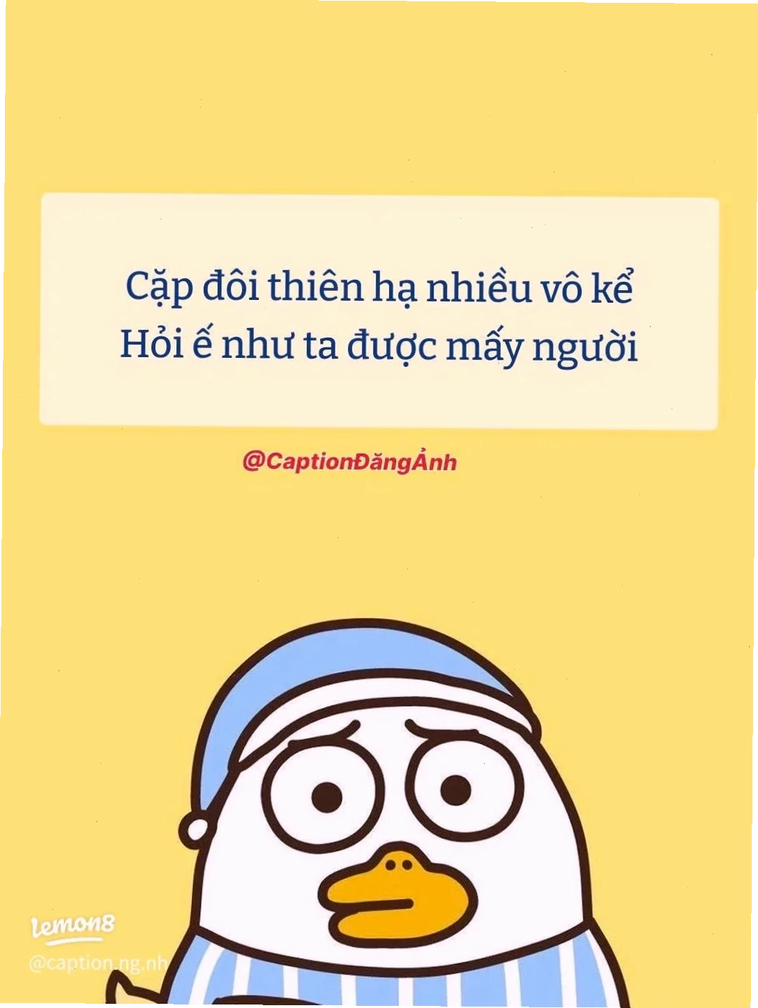 hình nền ế nhảy hình nền ế nhảy