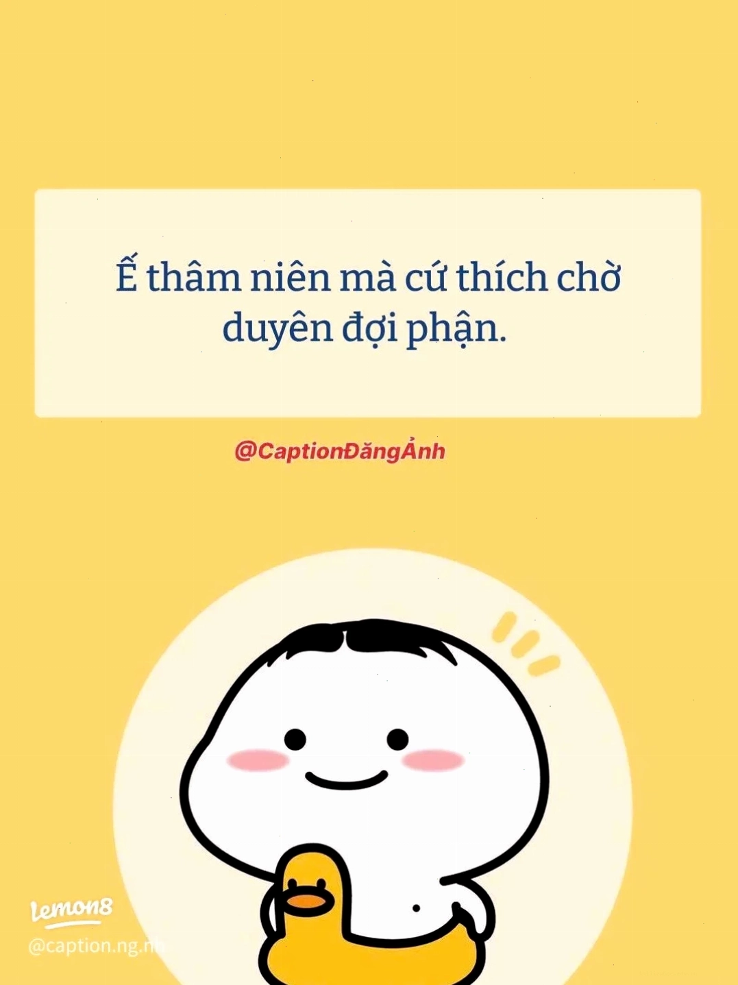 hình nền ế rừng hình nền ế trong rừng
