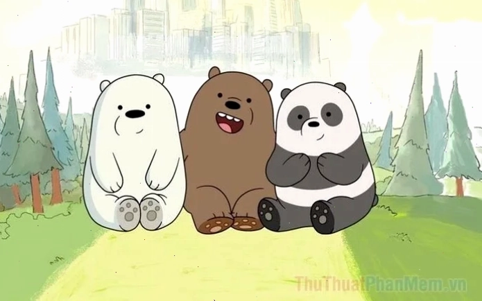 hình nền gấu trắng thư giãn hình nền gấu trắng đọc truyện