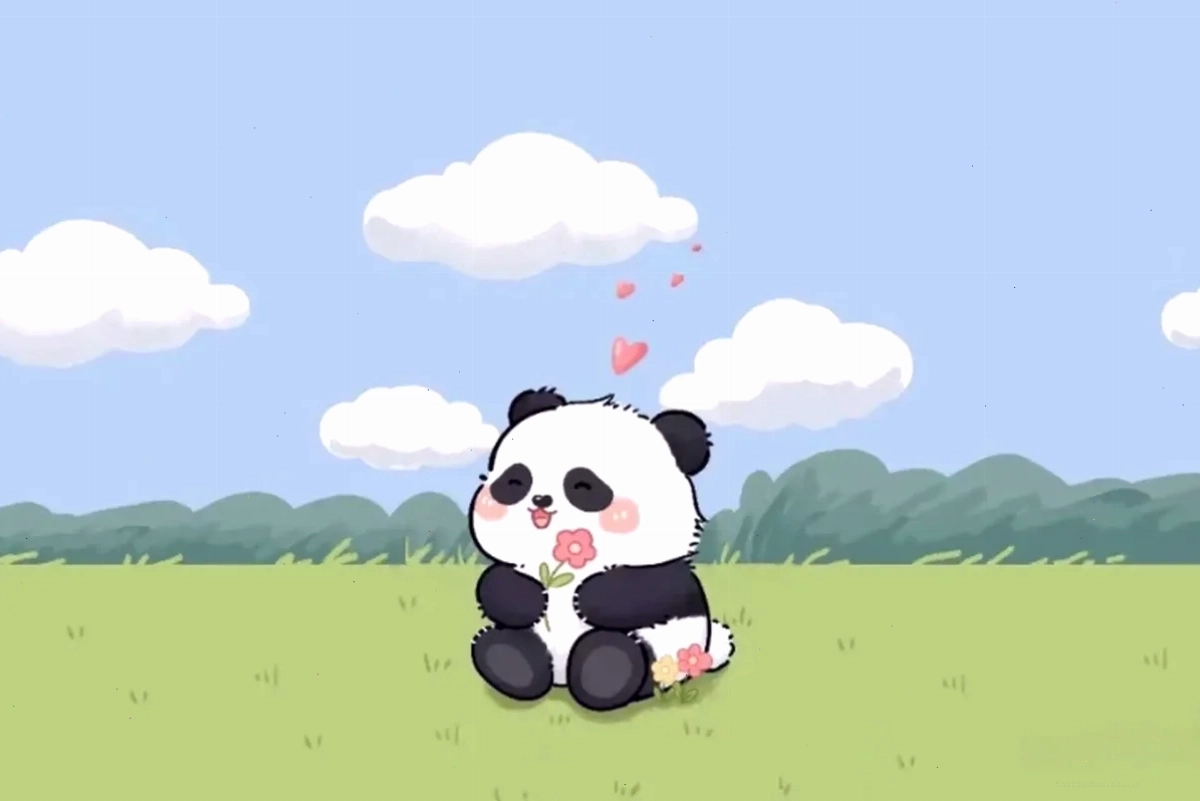hình nền gấu trúc cute dễ thương