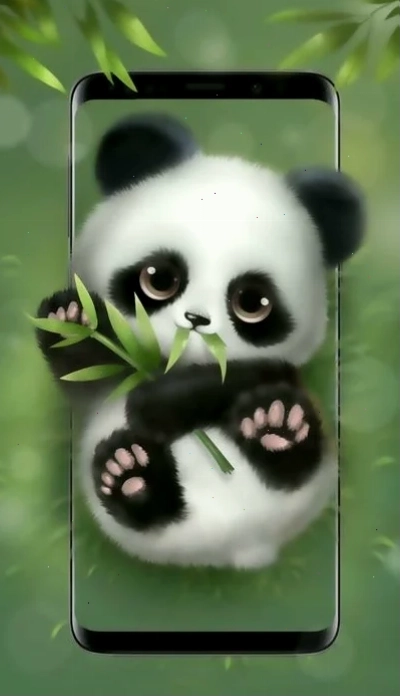 hình nền gấu trúc cute dễ thương