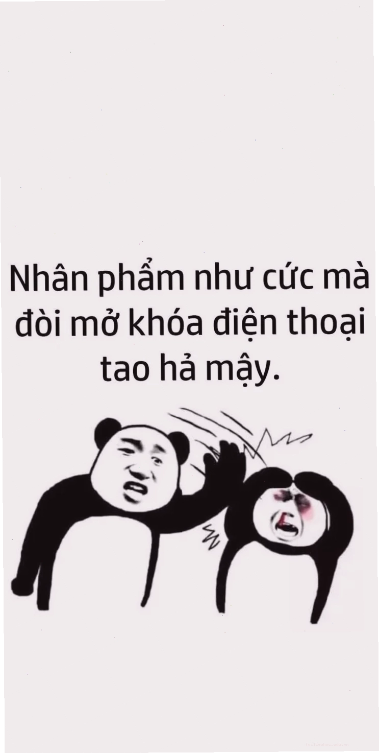 hình nền hài hước cho iphone sắc nét