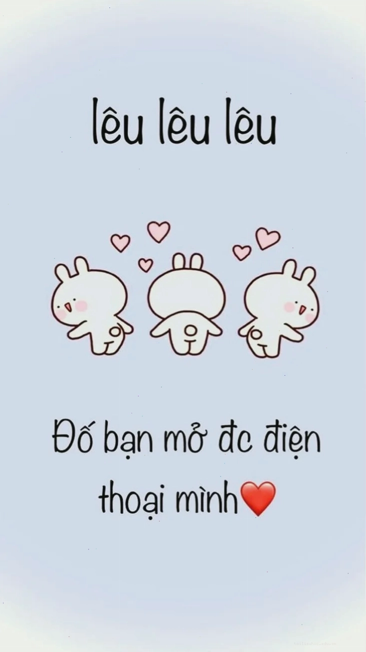 hình nền hài hước về chú chó đáng yêu