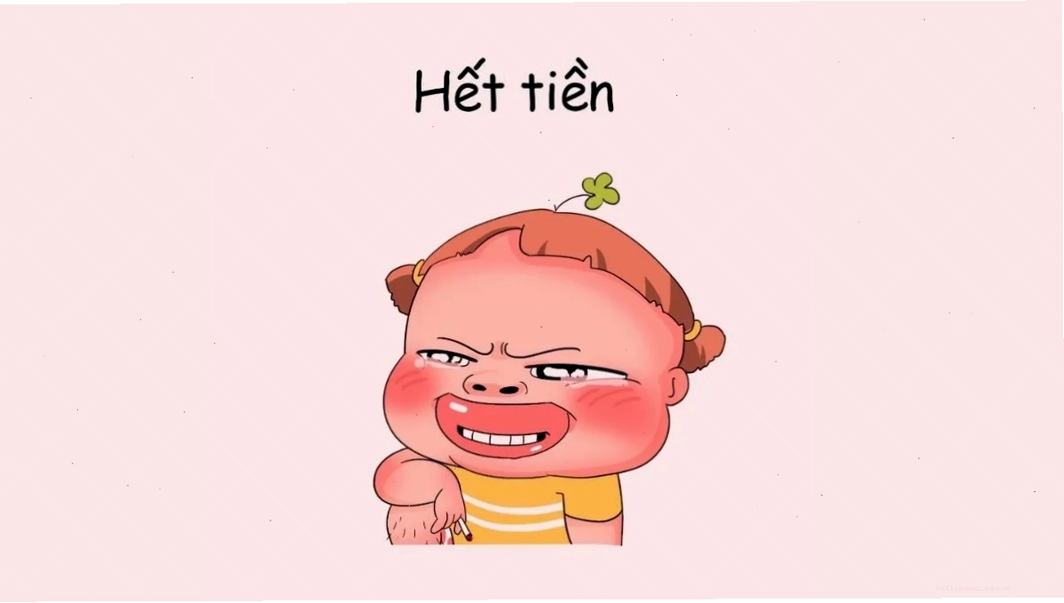 hình nền hài hước với meme mèo ngộ nghĩnh