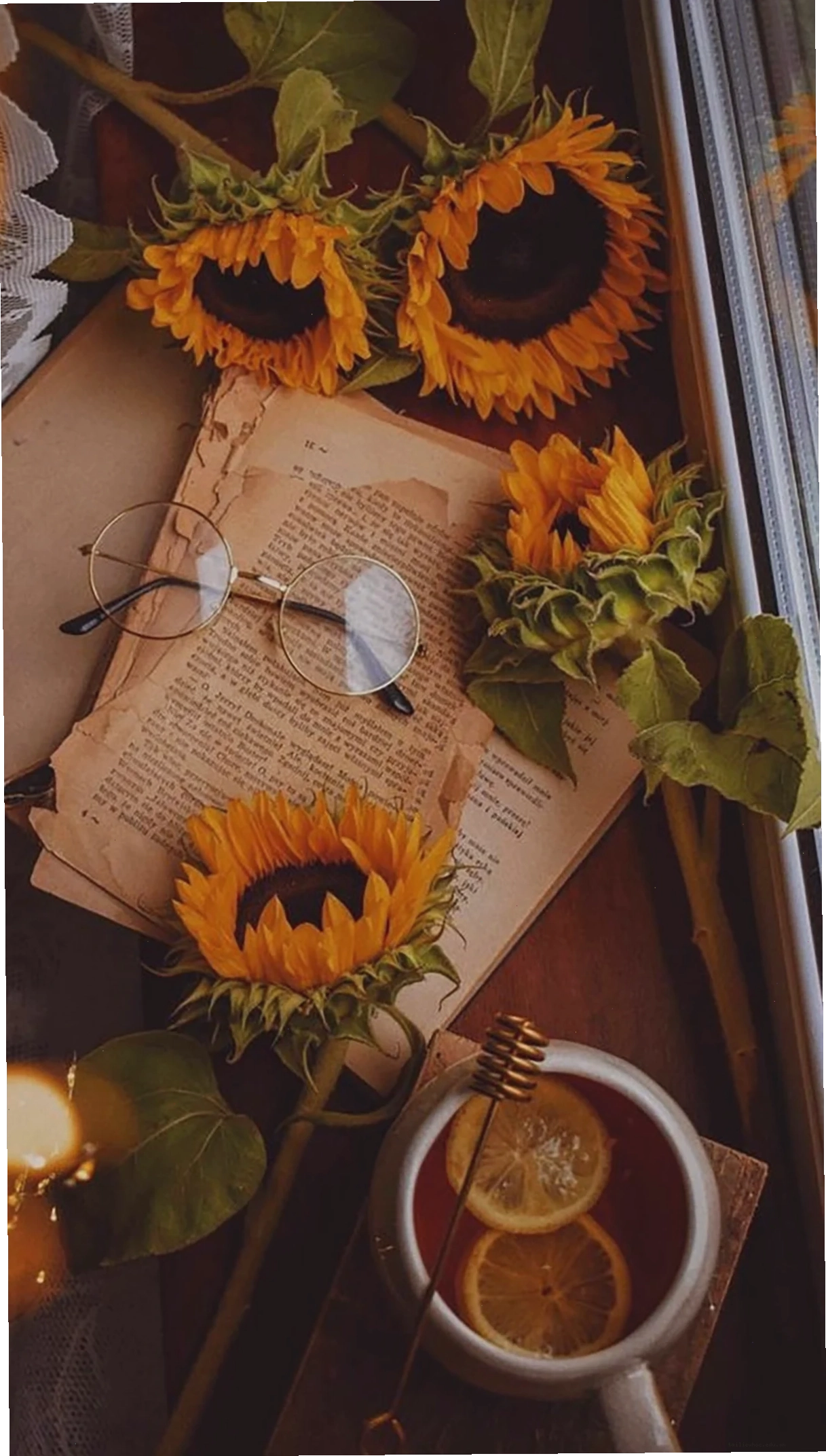 hình nền hoa hướng dương cho iphone ảnh vintage