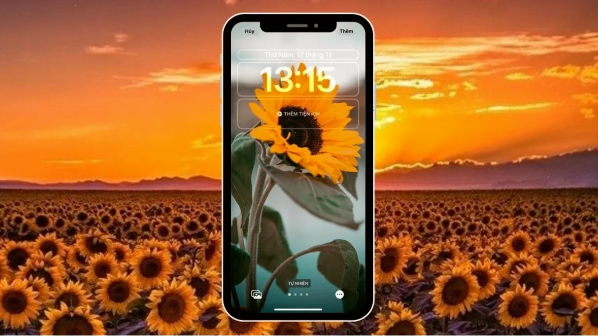 hình nền hoa hướng dương cho iphone lúc bình minh