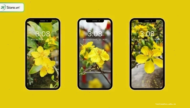 hình nền hoa mai cho điện thoại nghệ thuật số