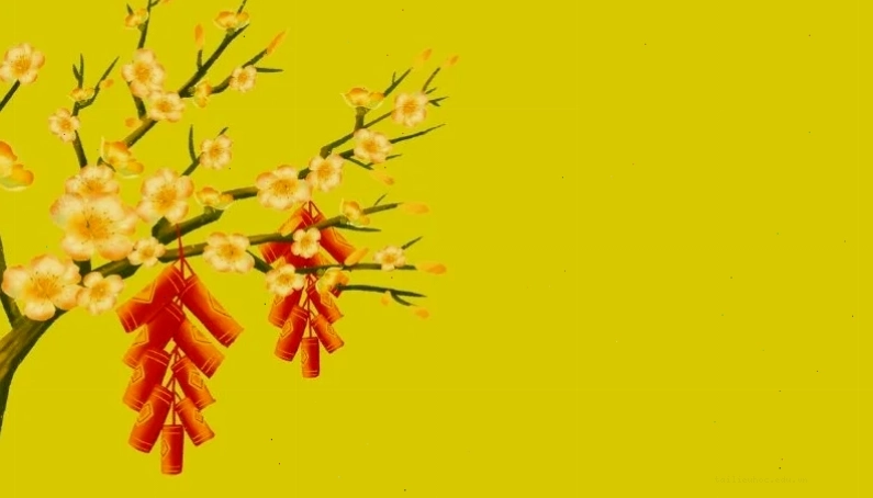 hình nền hoa mai cho điện thoại thiên nhiên